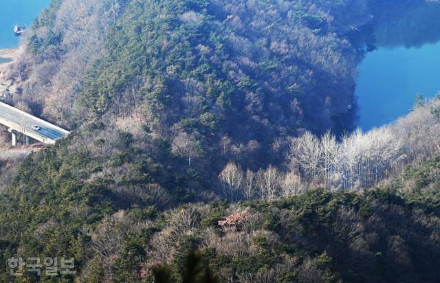 악어봉 전망대에서 내려다본 충주호 주변.
