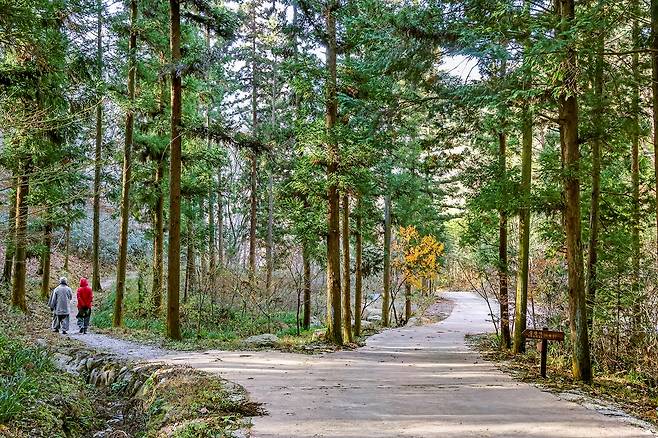 법정 스님이 주석했던 불일암으로 가는 무소유길[사진/백승렬 기자]