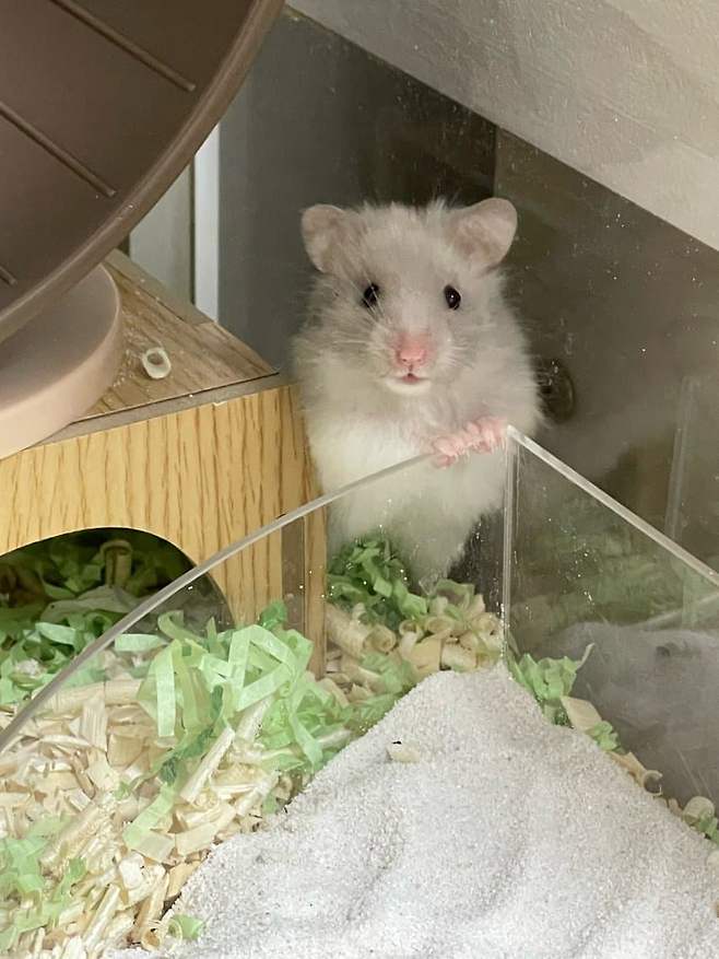 7aec8977bcf61b8023e88290439c706d6855539e70dd98c638e55dcc1a4d018cd8b5b3052ac768cc61ac0deec6b43523353cb872ae