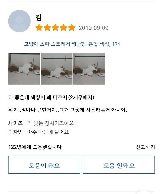 고양이 스크레쳐 구매후기.jpg
