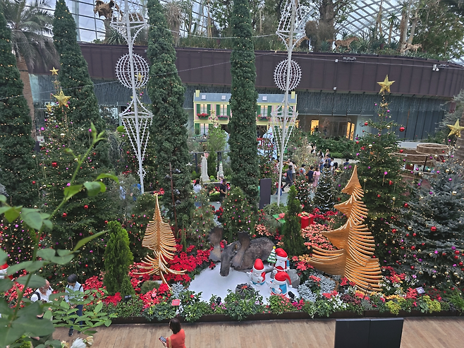 image.png 몰디브(싱가포르 경유) 신혼 여행 후기 및 정보