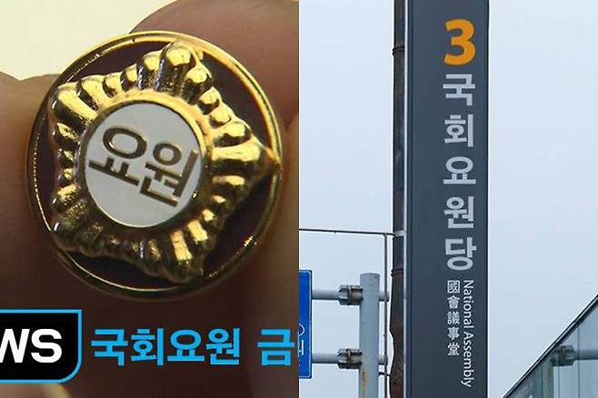 온라인커뮤니티 캡처