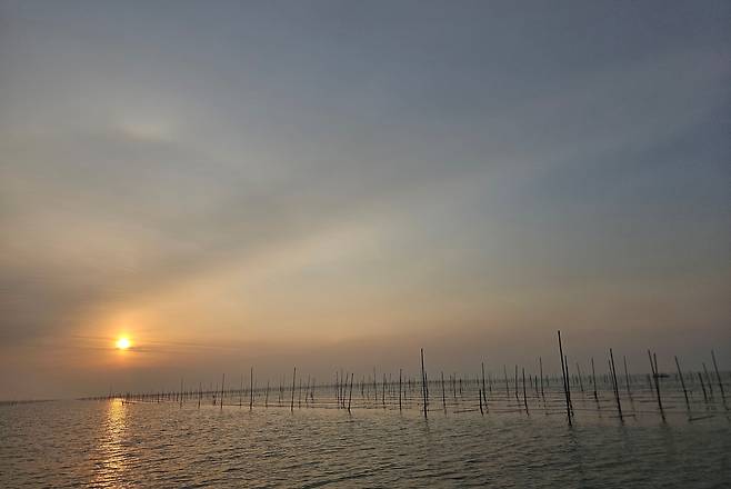 22일 신안 압해읍 송공리 앞바다에 설치된 지주식 김 양식장 뒤로 해가 뜨고 있다. /윤희훈 기자