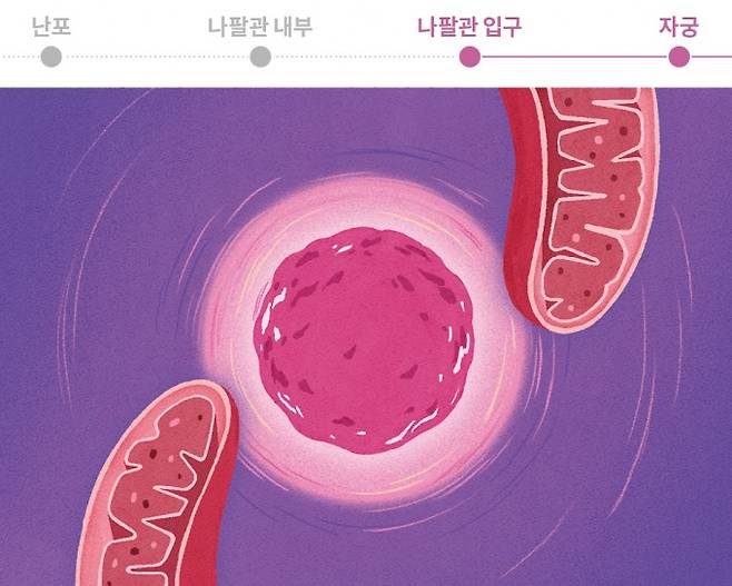 플레이사이언스 이미지