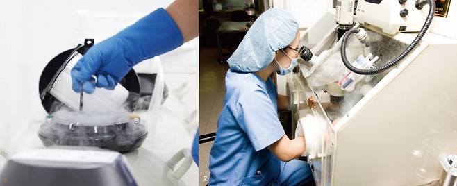 (왼쪽부터)냉동 난자는 여성의 생식력을 보존하고 원하는 시기에 임신을 계획할 수 있도록 돕는 기술이다. 최신 냉동 기술은 난자의 질과 생명력을 그대로 유지할 수 있어 점점 더 많은 사람들이 생애 계획의 유연성을 위해 이 방법을 선택하고 있다, 차병원의 한 연구자가 체외수정(IVF)을 진행하고 있다. IVF는 세포 배양 환경에서 정자가 난자에 침투하도록 유도하는 과정을 거친다. 차병원 제공