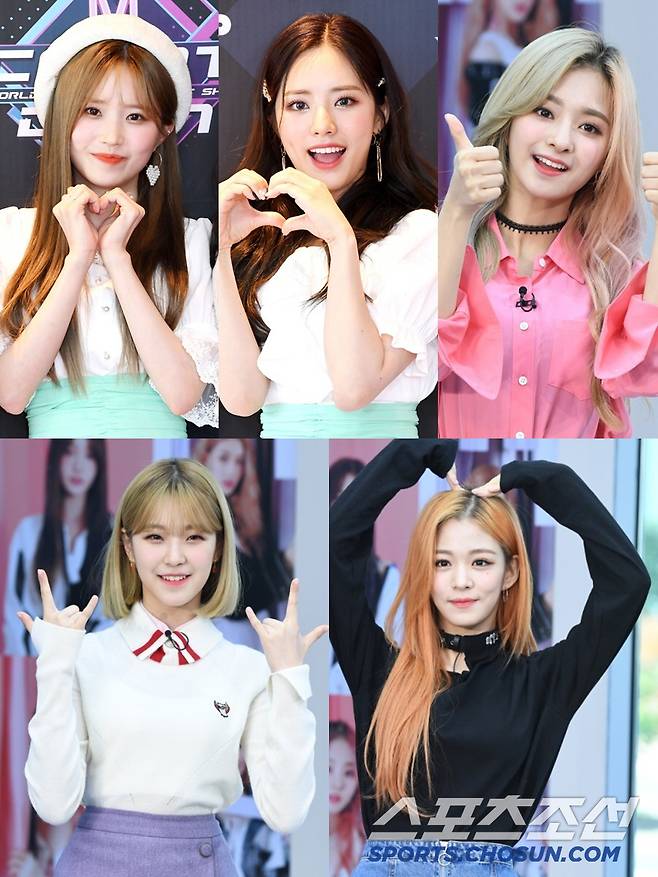 송하영, 박지원, 이나경, 이채경, 백지헌(왼쪽 위부터 시계방향으로). 스포츠조선DB