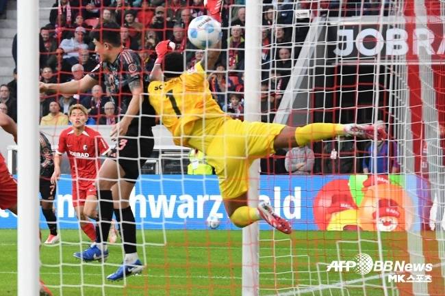 사진(독일 프라이부르크)=ⓒAFPBBNews = News1