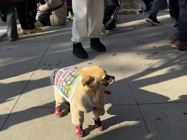 2024년 12월14일 서울 여의도에서 열린 탄핵 촉구 집회에서 개 한 마리가 인파 사이를 서성이고 있다. ⓒ시사IN 장일호
