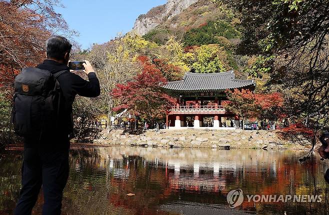 백양사의 가을 [연합뉴스 자료]