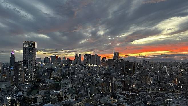 신주쿠에서 바라본 도쿄 모습.