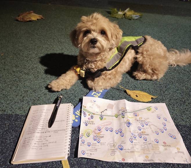 지난해 9월 서울 '범죄예방 시설물 점검' 활동에 참여한 반려견 순찰대원의 모습./사진제공=서울시