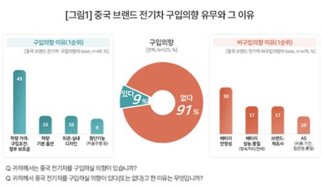 중국 브랜드 전기차 구입의향 조사. 컨슈머인사이트 홈페이지 캡처