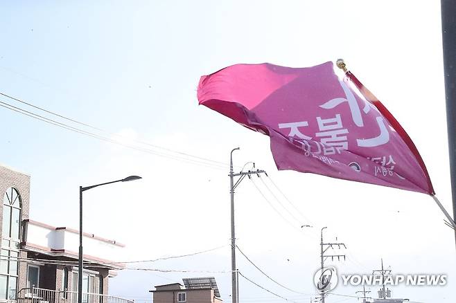 강풍에 펄럭이는 산불 조심 깃발 (강릉=연합뉴스) 류호준 기자 = 28일 오후 강원 강릉시 구정면 길가에 설치된 산불 조심 깃발이 펄럭이고 있다.
    이날 오전부터 속초·고성·양양·삼척·강릉·동해 ·정선 평지와 태백, 강원 산지 등 동해안을 중심으로 강풍 특보가 발효돼 있다. 2025.1.28 ryu@yna.co.kr