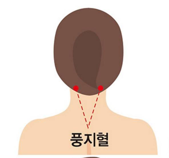 풍지혈 위치./사진=헬스조선DB