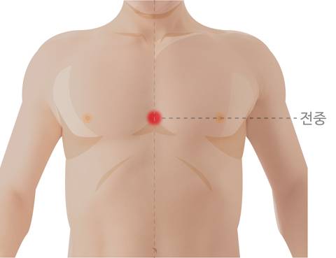 전중혈 위치./사진=헬스조선DB