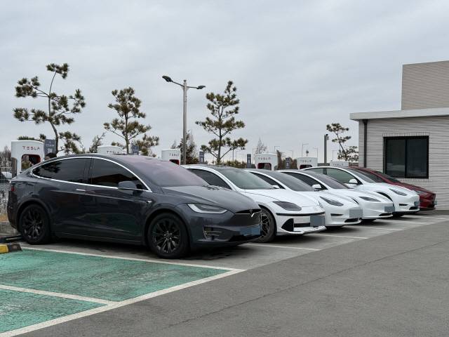 설날이었던 지난 29일 경기도 고양시 한 휴게소에 위치한 테슬라 전기차 충전소 수퍼차저에서 전기차들이 충전을 하고 있다.