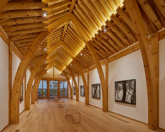 미술관 한옥. 집성목을 휘게 가공해 만들었다. 사진 노경 작가