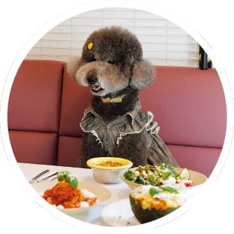 코코스퀘어가 운영하는 반려견 동반 레스토랑.