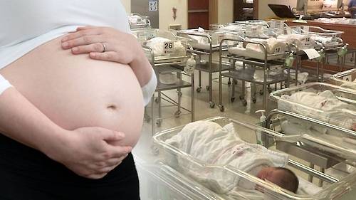 임신부 [사진 = 연합뉴스]