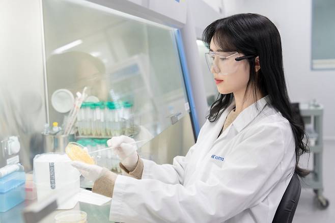 한국콜마 연구원이 미생물 균주를 배양하고 관찰하고 있다./사진=한국콜마 제공