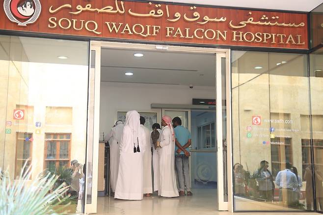 매 종합병원 (사진. 김관수)