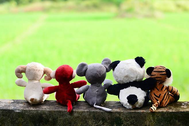 인간은 마음이 힘들 때 포근하고 따뜻한 품을 찾도록 진화해 왔다. 촉각이 주는 마음의 위로 효과에 대해 알아보자. 게티이미지