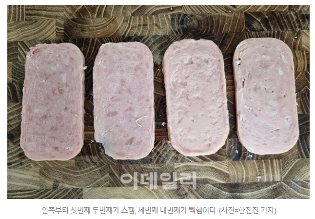 image.png 스팸, 빽햄 직접 요리해서 비교한 기자..news