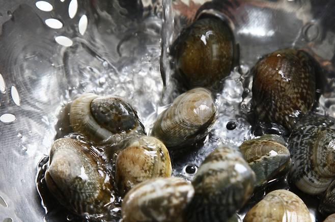 바지락에 함유된 타우린은 체내 나트륨을 배출시키는 이뇨작용을 해, 나트륨으로 인한 콩팥 손상을 줄이는 효과가 있다./사진=클립아트코리아