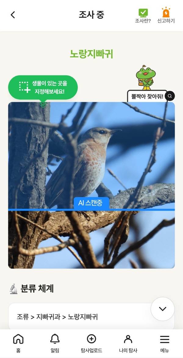 AI 기반 시민과학 플랫폼 '지구사랑탐사대 2.0'의 AI가 시민과학자가 올린 사진에서 생물종이 있는 위치를 스캔하는 모습. 동아사이언스 제공