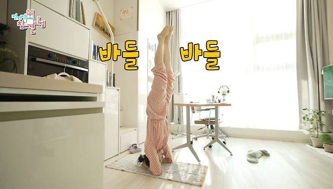 MBC 〈전지적 참견 시점〉