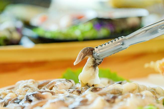 충남 홍성 남당항 새조개. 충남 홍성군 제공