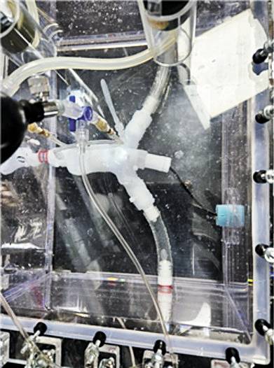 Pulsatile extracorporeal circulation device [SEOUL NATIONAL UNIVERSITY HOSPITAL]