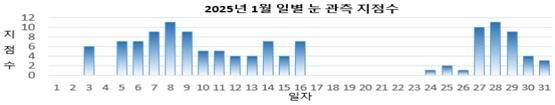 2025년 1월 일별 눈 관측 지점 수(목측 통계 산출 13개 지점 중) [기상청 제공]