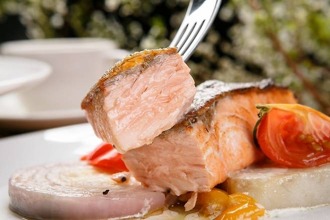 생선 [게티이미지뱅크]