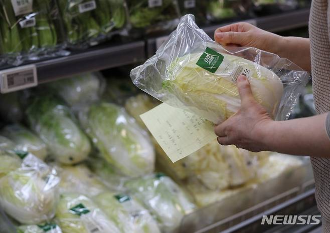 [서울=뉴시스] 김진아 기자 = 정부가 장바구니 물가 안정을 위해 4월 중 배추 170t을 매일 방출하고 양파 저율관세수입 물량 5000t, 대파 할당관세 3000t도 차질 없이 공급키로 했다. 12일 서울의 한 대형마트에서 배추가 판매되고 있다. 2024.04.12. bluesoda@newsis.com