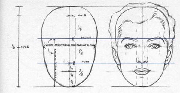 얼굴을 상중하로 나눌때 그 기준은 눈썹과 코입니다.인중은 중안부에 포함되지도 않습니다. [그림=William Andrew Loomis]