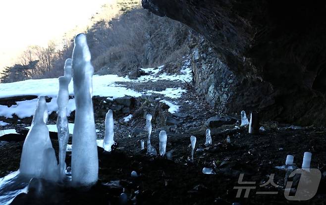 충북 제천시 덕산면 수산리 보덕암 인근 보덕굴 '거꾸로 자라는 고드름'.2025.2.6/뉴스1