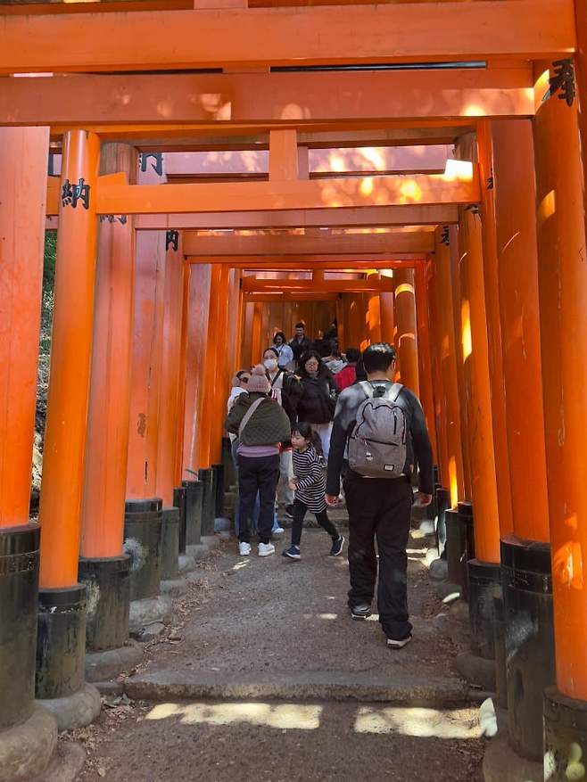 78eb8677c6801ef223ea8f96479c70692e4196b05460873ca1515d06ca5274dde2f1c25895fc78b675765e7f20880a1e34f58a17d6