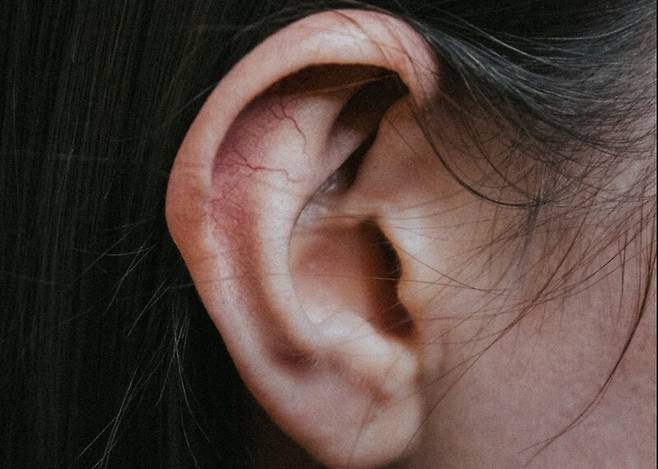 사람의 귀는 아가미 유전자의 재활용이다. Sam Badmaeva/Unsplash