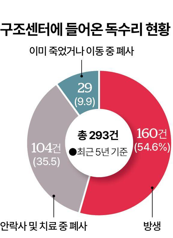 최근 5년간 구조센터에 들어온 독수리 현황. 충남야생동물구조센터 제공