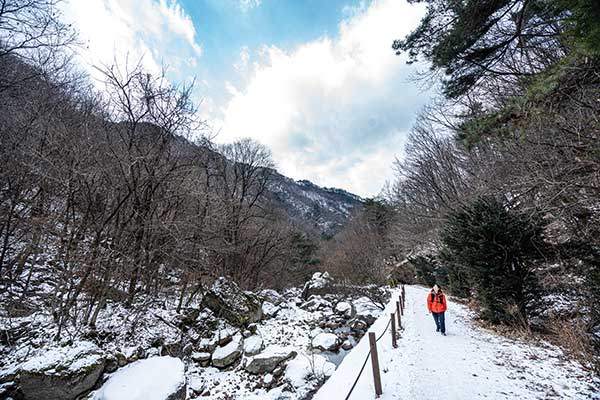 천동 코스의 등산로 초입. 들머리인 천동탐방지원센터를 지나 올라오면 한동안 천동계곡을 따라 길이 이어진다.