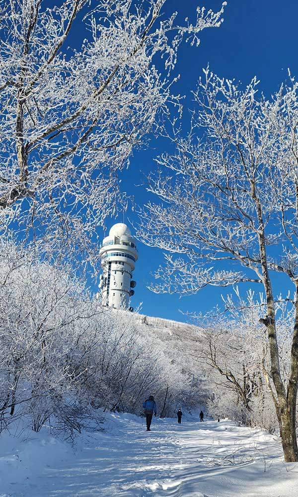 죽령 코스의 제2연화봉에서 연화봉 가는 길. 사진 박인이.