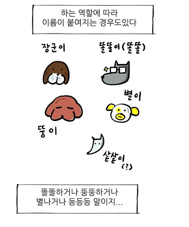 사람마다 다르다는 강아지 이름짓는법.Manhwa