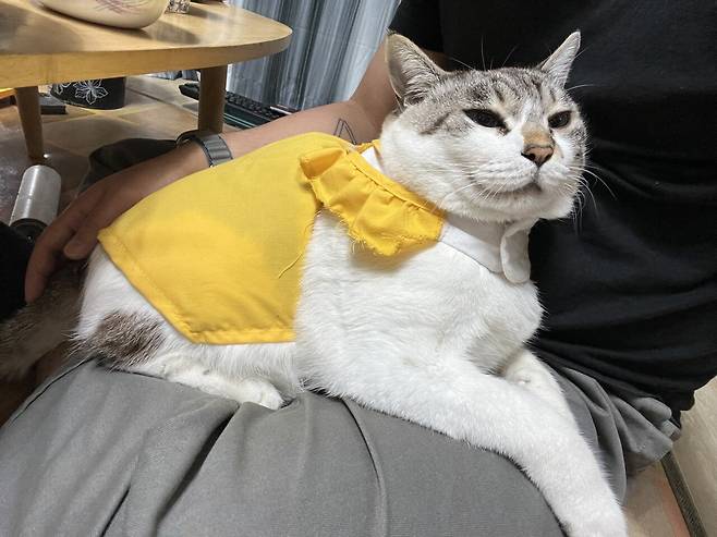 우리 몽실이 보고가세용