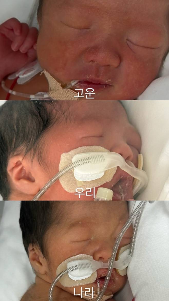 최근 제주에서 태어난 세쌍둥이 '고운', '우리', '나라'. (임현준씨 가족 제공)