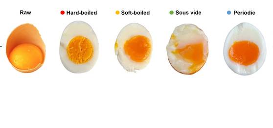 이탈리안 연구팀이 고안한 최적의 달걀삶기 논문의 일부. 가장 오른쪽이 주기 조리법으로 삶은 달걀. 네이처 커뮤니케이션즈