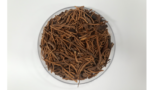 ▲ 쥐오줌풀 뿌리(길초근) [국립호남생물자원관]