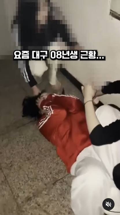 인스타그랩 '실시간대구' 게시글 캡쳐