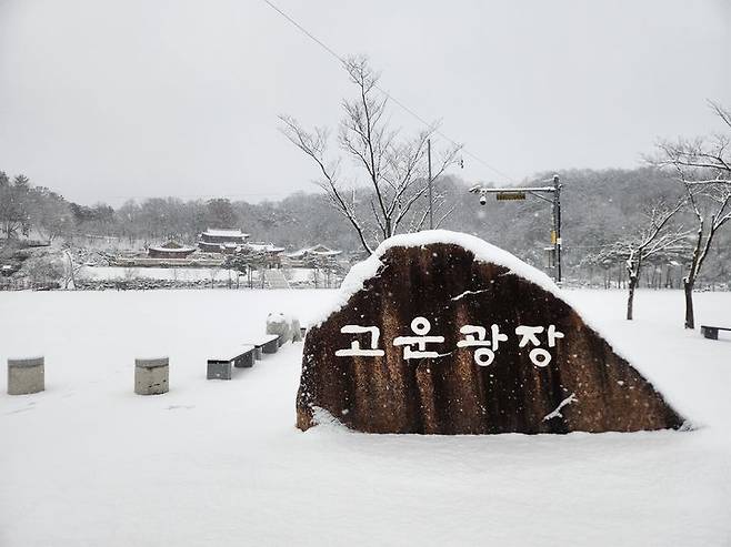 [함양=뉴시스] 서희원 기자 = 7일 오전 9시께 경남 함양군 일대는 새벽부터 눈이 내려 온통 하얀 세상이다. 함양읍을 비롯해 상림 숲 등 곳곳에 눈이 내려 아름다운 풍경을 자아내고 있다. 2025.02.07. shw1881@newsis.com *재판매 및 DB 금지