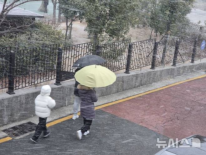 [부산=뉴시스] 권태완 기자= 7일 오전 11시께 부산에 눈이 내리고 있다. 부산기상청은 북부산에 0.3㎝ 적설량을 기록했다고 밝혔다. 2025.02.07. kwon97@newsis.com